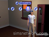 The Sims Bustin' Out