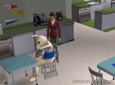 The Sims 2 University