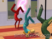 The Sims 2