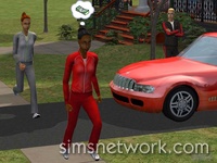 The Sims 2