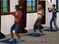 The Sims 2