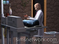 The Sims 2